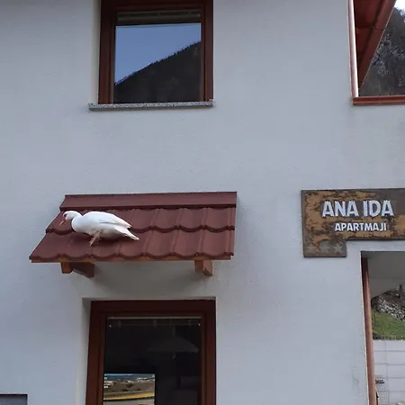 Apartma Ana Ida