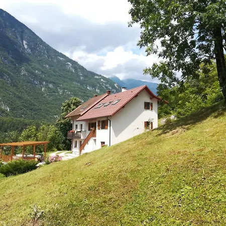 Apartma Ana Ida Srpenica