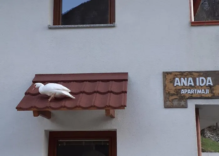 Apartma Ana Ida
